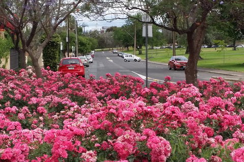 Adelaide Walking Tour: Hills, Squares And Parklands - Tourism Canberra 6