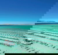 Coffin Bay Day Tour - A Taste of Coffin Bay - Tourism Canberra
