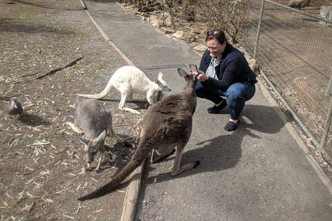 A Taste Of Adelaide And Hahndorf By Car Private Tour. - Tourism Canberra 8