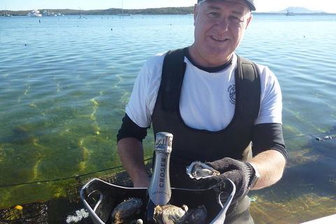 Oyster Farm And Tasting Tour With Hotel Pick-up And Return From Port Lincoln - Tourism Canberra 0
