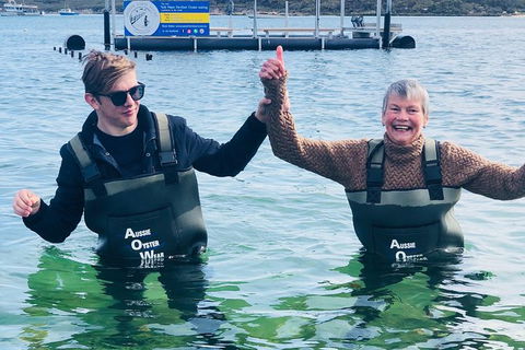 Oyster Farm And Tasting Tour With Hotel Pick-up And Return From Port Lincoln - Tourism Canberra 5
