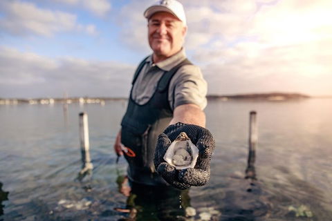 Oyster Farm And Tasting Tour With Hotel Pick-up And Return From Port Lincoln - Tourism Canberra 3
