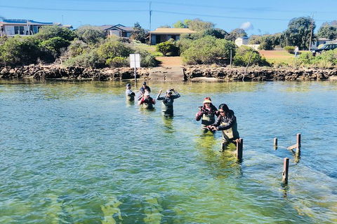 Oyster Farm And Tasting Tour With Hotel Pick-up And Return From Port Lincoln - Tourism Canberra 6