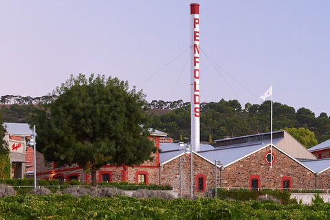 Ultimate Penfolds Magill Estate Experience - Tourism Canberra 3