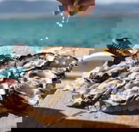 Experience Coffin Bay Short and Sweet Oyster Farm Tour - Tourism Canberra