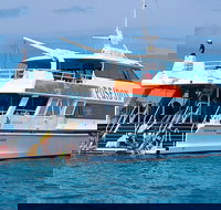 Poseidon Outer Great Barrier Reef Snorkeling and Diving Cruise from Port Douglas - Tourism Canberra