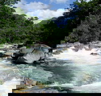 Daintree Rainforest Cape Tribulation Mossman Gorge in a day - Tourism Canberra