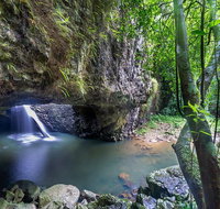 Springbrook andTamborine Rainforest Tour Incl Natural Bridge and Glow Worm Cave - Tourism Canberra