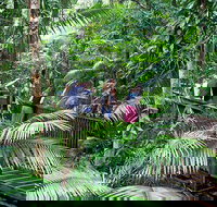 Full Day Daintree Rainforest and Mossman Gorge Tour - Tourism Canberra