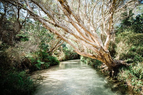 All-Inclusive 2-Day Fraser Island Tour - Tourism Canberra 11
