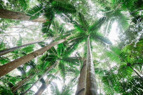 All-Inclusive 2-Day Fraser Island Tour - Tourism Canberra 8