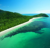 Cape Tribulation Mossman Gorge and Daintree Rainforest Day Trip from Cairns or Port Douglas - Tourism Canberra