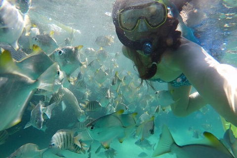 Moreton Island Snorkel And Sandboarding 4WD Day Trip From Brisbane - Tourism Canberra 7
