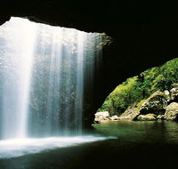 World Heritage Springbrook National Park Tour Including Natural Bridge - Tourism Canberra