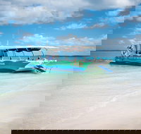 Great Sandy Marine Park Turtle Discovery and Cultural Eco Tour - Tourism Canberra