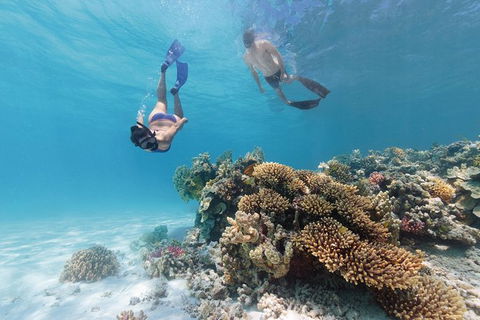 5-Day Fraser Island And Great Barrier Reef Tour - Tourism Canberra 1
