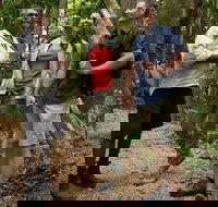 Mossman Gorge Dreamtime Walk and Low Isles Snorkeling and Sailing Cruise - Tourism Canberra