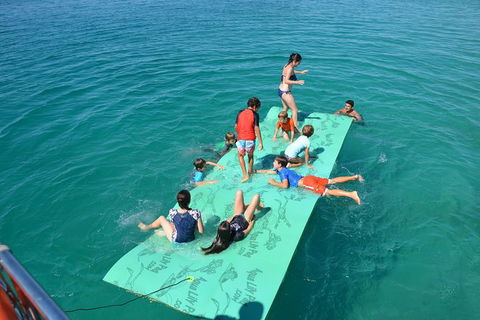 Fraser Island & Dolphin Sailing Adventure - Tourism Canberra 6