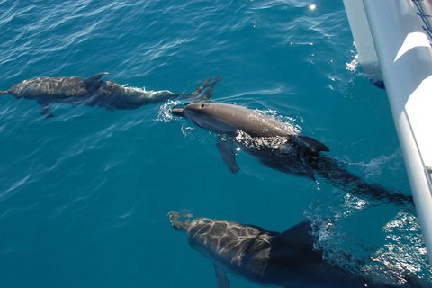 Fraser Island & Dolphin Sailing Adventure - Tourism Canberra 2