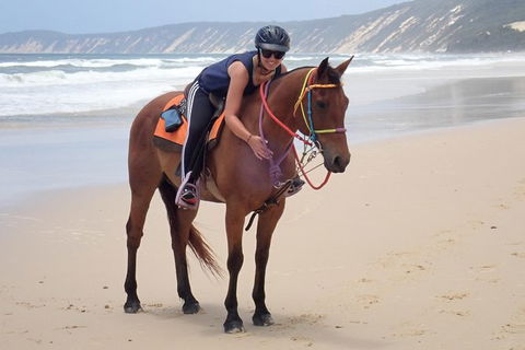 Rainbow Beach Horse Ride - Tourism Canberra 2