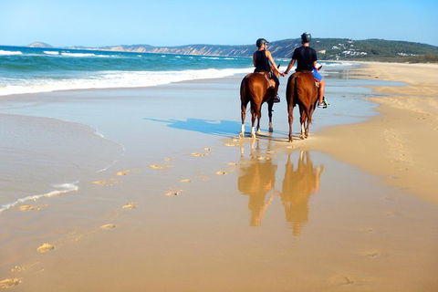 Rainbow Beach Horse Ride - Tourism Canberra 3