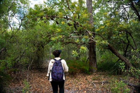 Pack-free Camping: Lake McKenzie Central Hike - 2 Days - Tourism Canberra 1