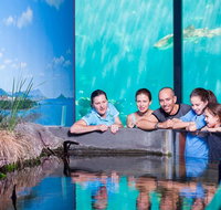 Reef HQ Great Barrier Reef Aquarium General Entry Ticket - Tourism Canberra