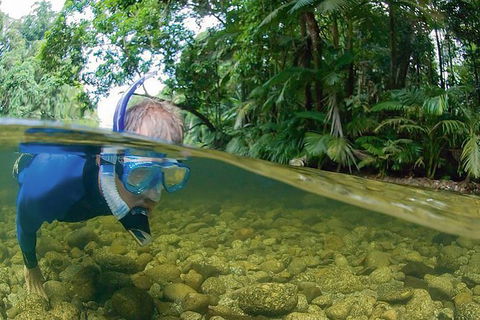 Mossman River Drift Snorkelling From Port Douglas Or Mossman - Tourism Canberra 1