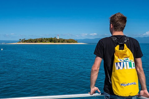 Half Day Low Isles Snorkelling Tour From Port Douglas - Tourism Canberra 5
