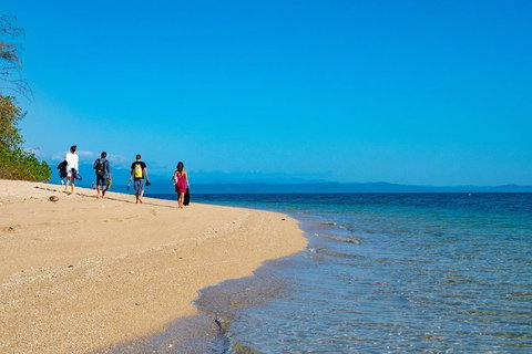 Half Day Low Isles Snorkelling Tour From Port Douglas - Tourism Canberra 3