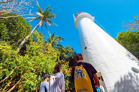 Half Day Low Isles Snorkelling Tour From Port Douglas - Tourism Canberra 7