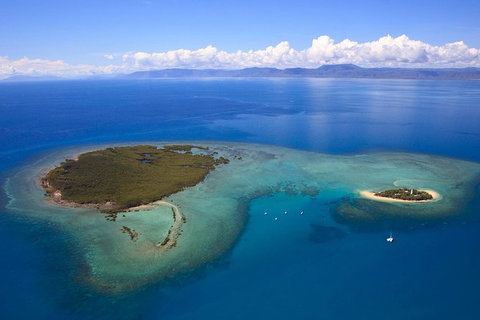 Half Day Low Isles Snorkelling Tour From Port Douglas - Tourism Canberra 4