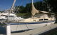 Townsville Lunchtime Sailing Cruise Boat Tour - thumb 2