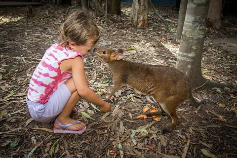 Hartley's Crocodile Adventures Day Trip From Cairns - Tourism Canberra 1