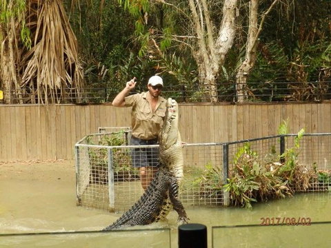 Hartley's Crocodile Adventures Day Trip From Cairns - Tourism Canberra 2