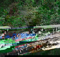 Daintree River Cruise - Tourism Canberra