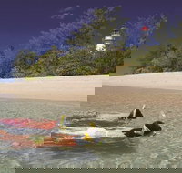 Wavedancer Low Isles Great Barrier Reef Sailing Cruise from Palm Cove - Tourism Canberra