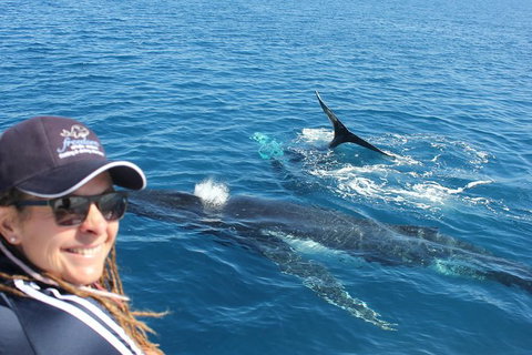 Three-Quarter Day Hervey Bay Premium Whale Watching Cruise - Tourism Canberra 13