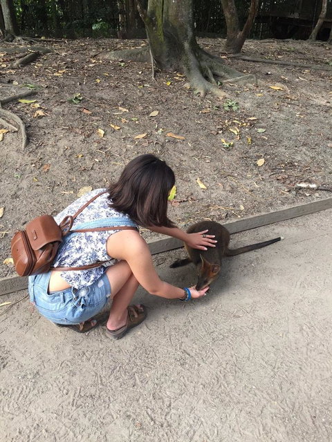 Wildlife Habitat Port Douglas - Tourism Canberra 6