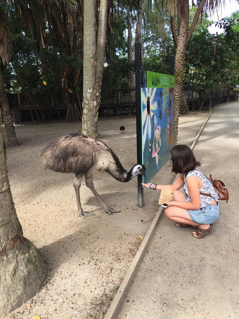 Wildlife Habitat Port Douglas - Tourism Canberra 2
