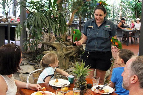 Wildlife Habitat Port Douglas - Tourism Canberra 11