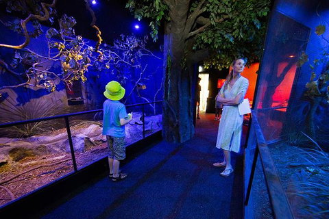 Wildlife Habitat Port Douglas - Tourism Canberra 14