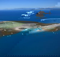 Scenic Reef  Rainforest Helicopter Flight from Port Douglas - Tourism Canberra