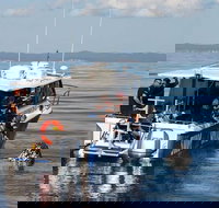 Hervey Bay Whale Swim and Watch - Tourism Canberra