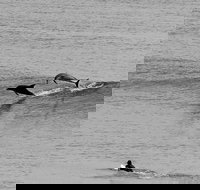 Overnight Tweed Coast Camping and Surfing Getaway From The Gold Coast - Tourism Canberra