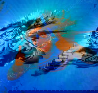 Calypso Outer Great Barrier Reef Cruise from Port Douglas - Tourism Canberra