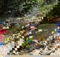 Electric Mountain Bike Rainforest Eco Tour - Tourism Canberra
