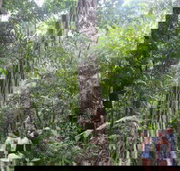 Sightseeing Tour - Half Day - Tourism Canberra