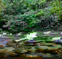 Mossman Silky Oaks to/from Cairns - Tourism Canberra