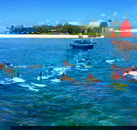 Low Island Snorkelling Private Charter Aboard Authentic Chinese Junk Boat - Tourism Canberra